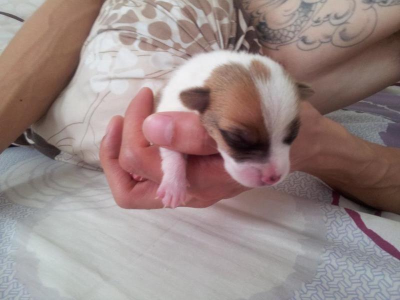 9days old-Peace

