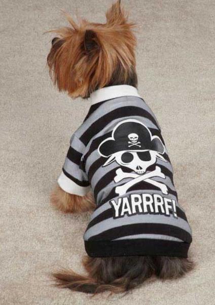 Pirate T-Shirts with Dog Pictures.JPG
