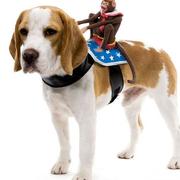 Costums for dogs pictures of Monkey dog costume.JPG

