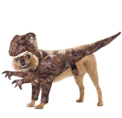 Dinosaur dog costume for small dogs.JPG
