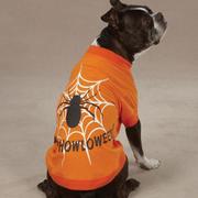 Dog Halloween Spider Web T-Shirt picture.JPG

