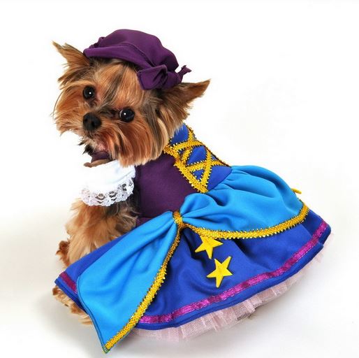 Dog Princess Halloween Costumes photos.JPG
