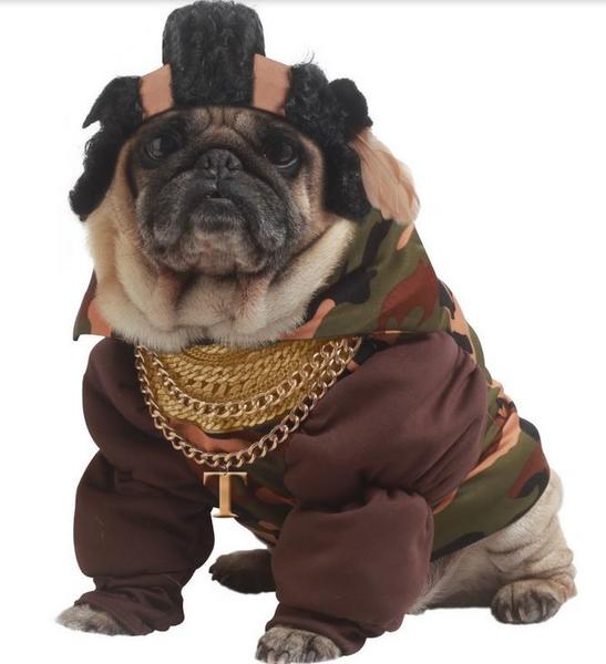 Funny halloween costumes for dogs picture of Mr. T Dog Costume.JPG
