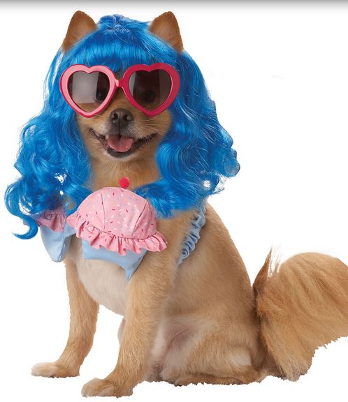 Girl Dog Costumes pictures.JPG
