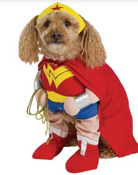 Superwoman pet dog halloween costume photo.JPG

